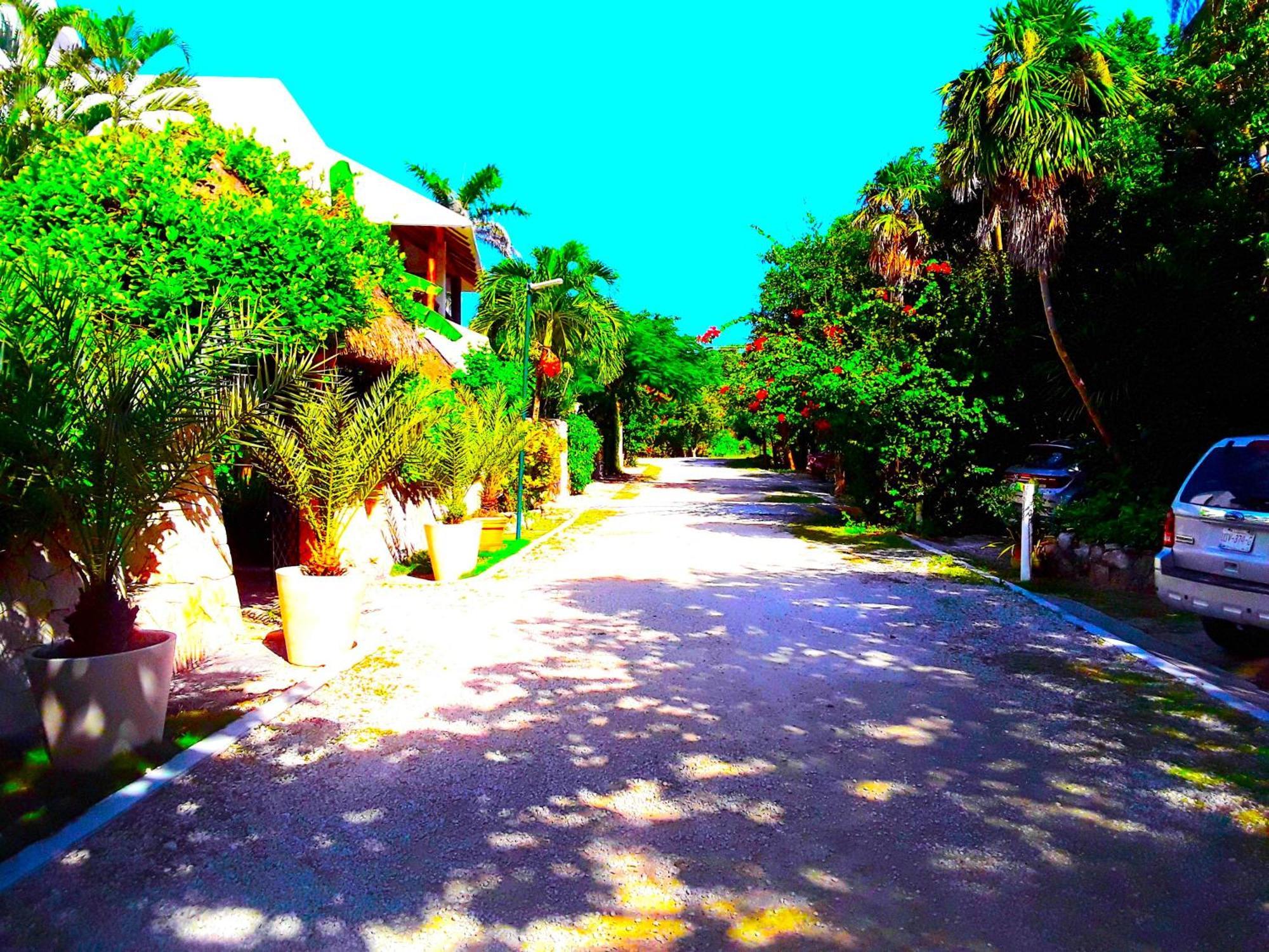 Casa Gatos Aparthotel Akumal Bagian luar foto