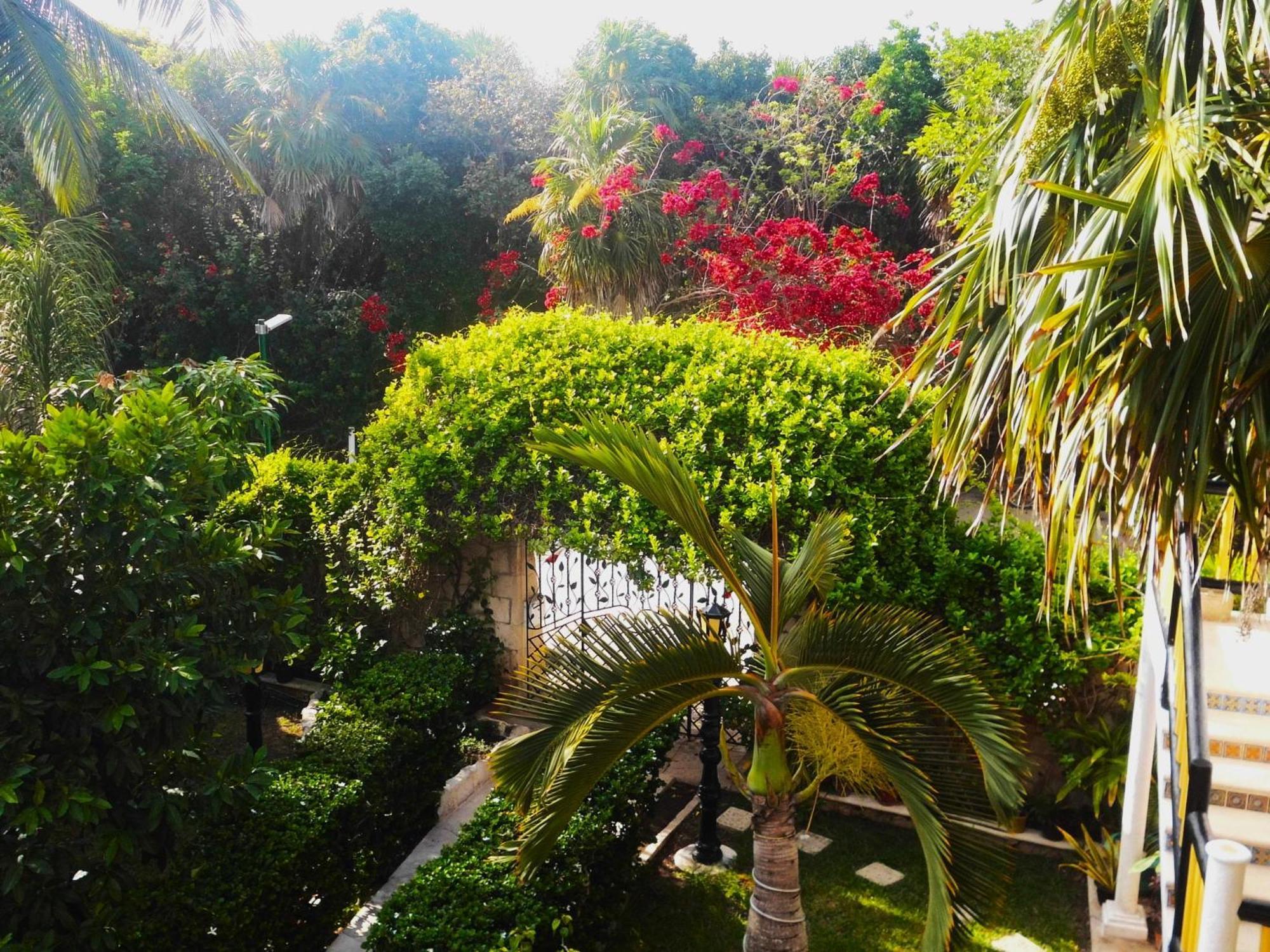 Casa Gatos Aparthotel Akumal Bagian luar foto