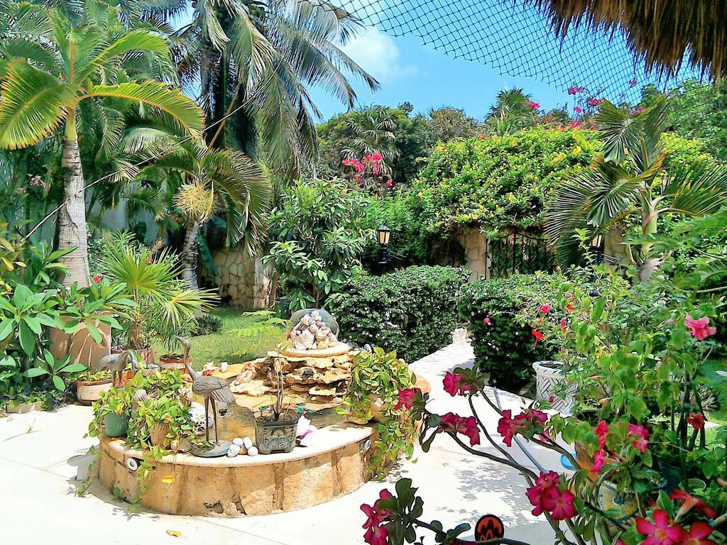 Casa Gatos Aparthotel Akumal Bagian luar foto