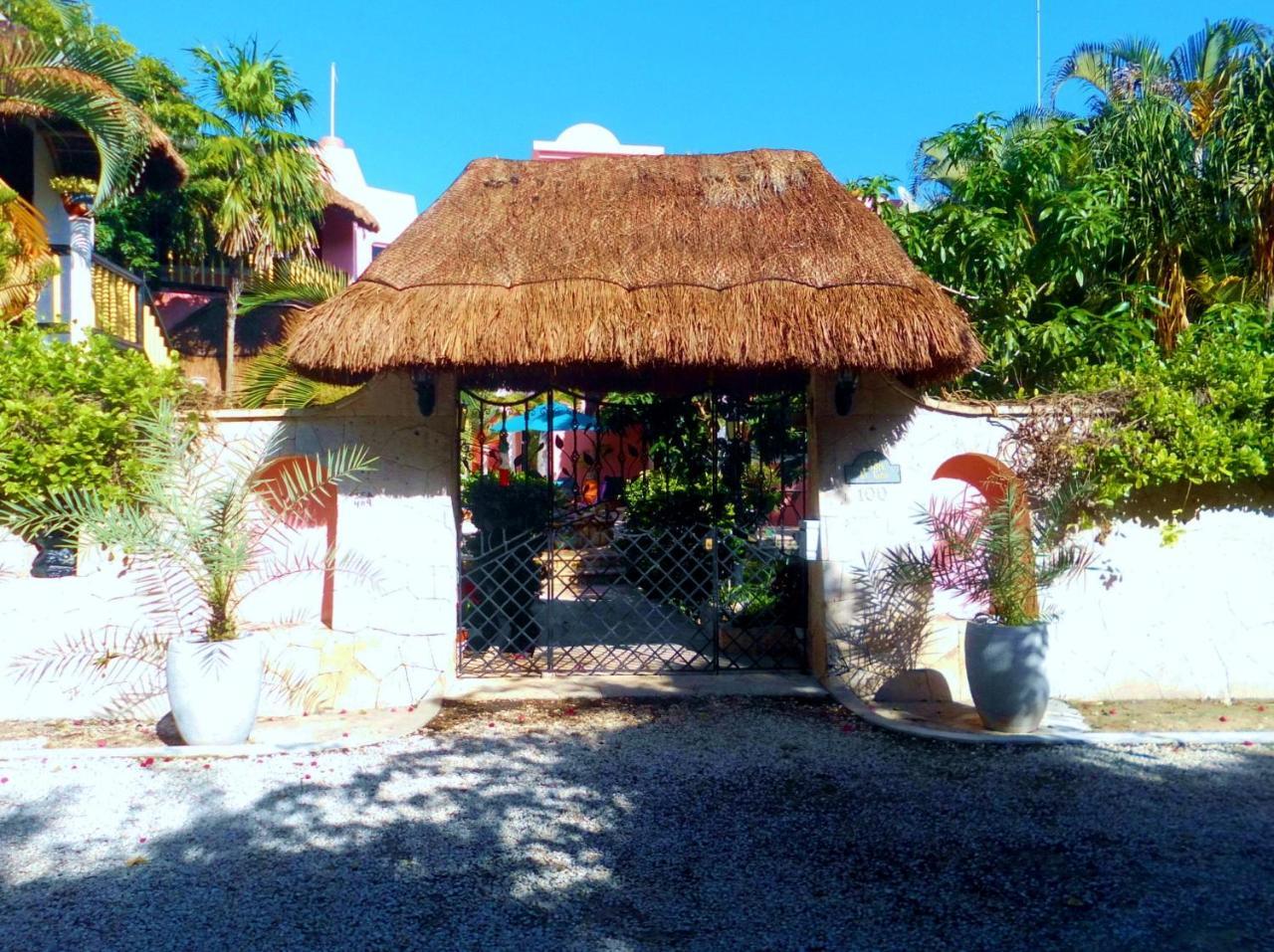 Casa Gatos Aparthotel Akumal Bagian luar foto